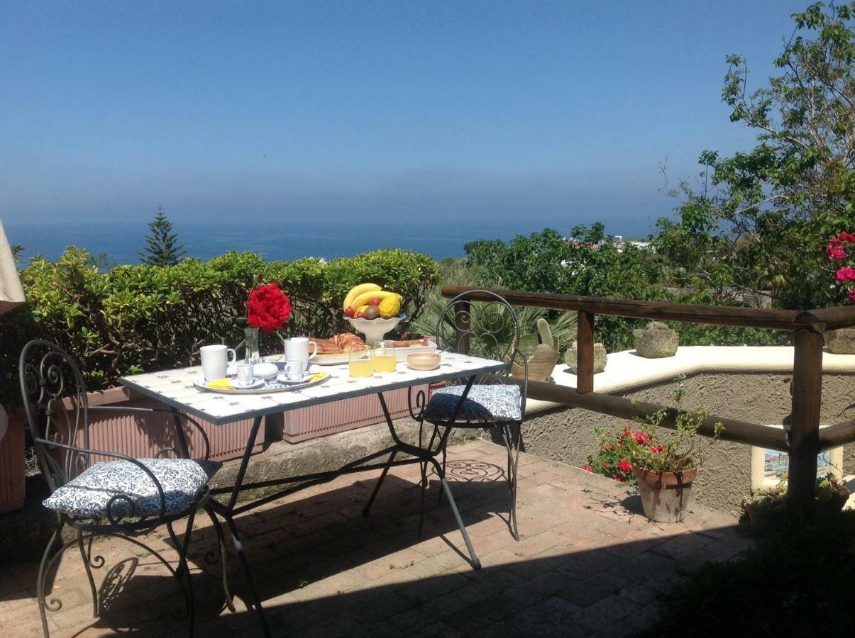 Forio di Ischia La Terrazzina Sul Tramonto B&B 외부 사진